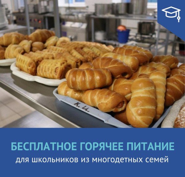 Почти 40 тысяч детей из многодетных семей Алтайского края обеспечат бесплатным питанием.
