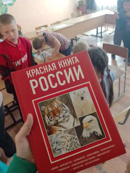 Что такое экология?.
